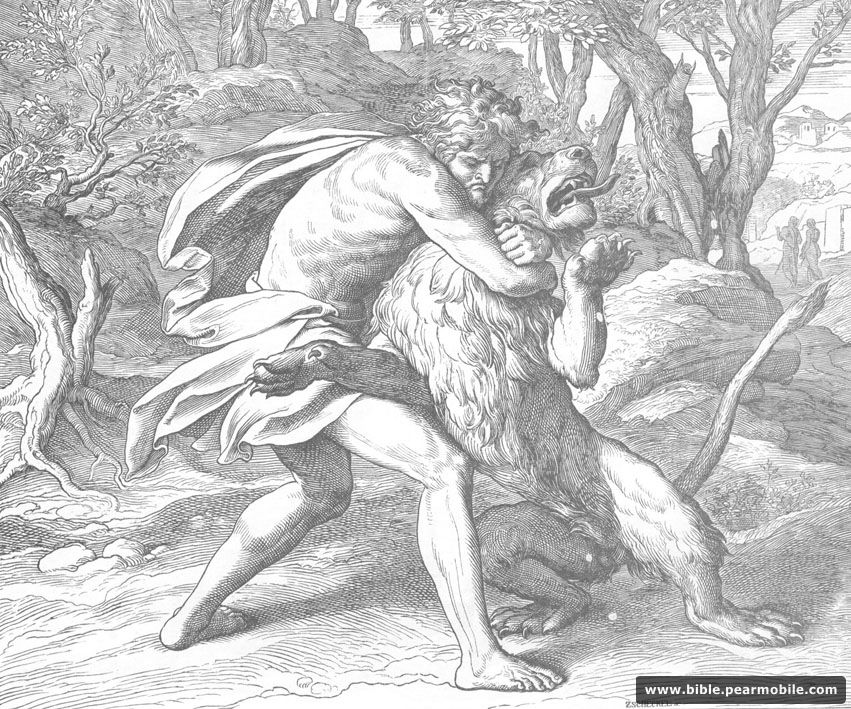 న్యాయాధిపతులు 14:6 - Samson Kills the Lion